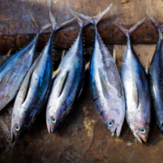 Produits de la mer avec label de certification nutri-et-sante-produits-de-qualites-poisson-certifie-aquaculture